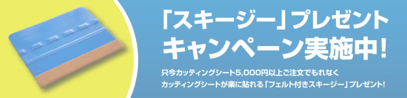 スキージープレゼント
