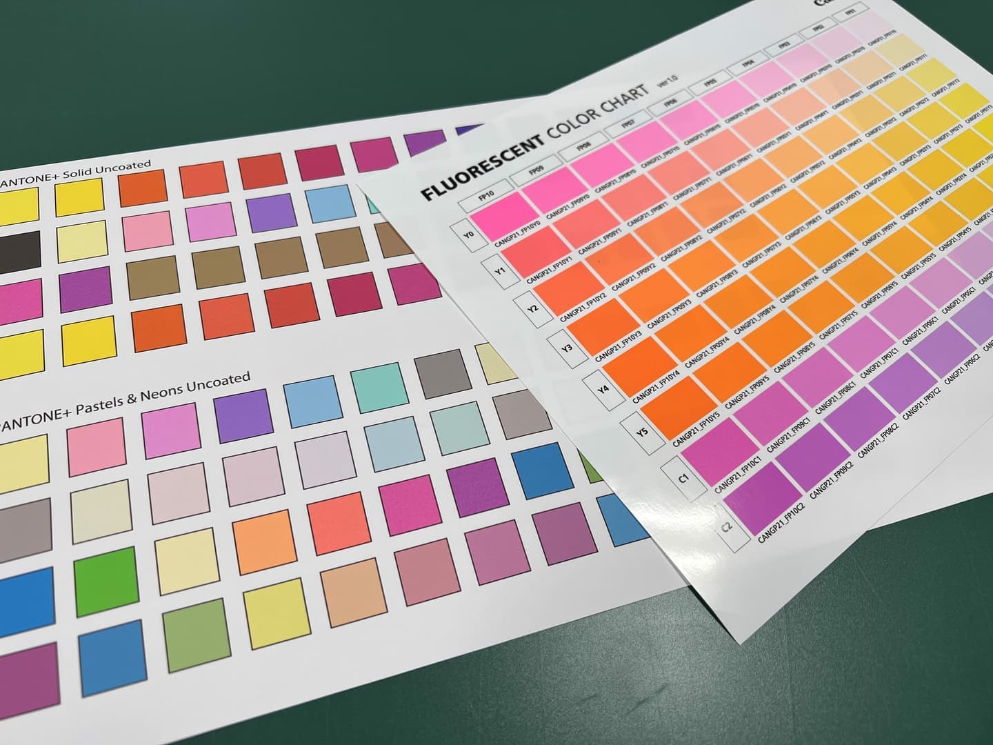 蛍光カラー出力サンプル